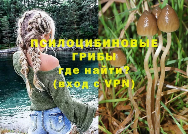 бутират Нязепетровск
