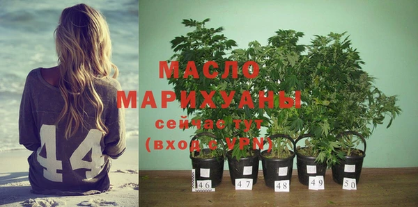 дмт Осташков