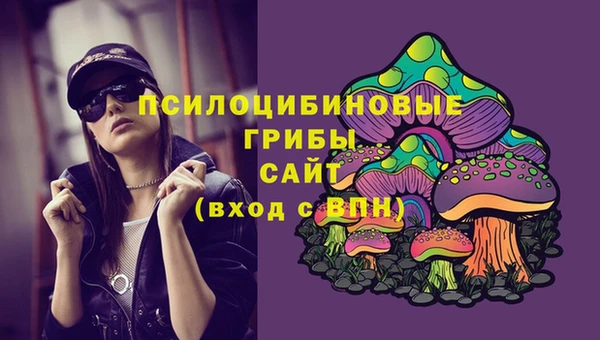 гидра Осинники
