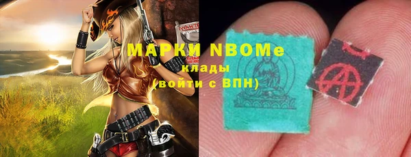 дмт Осташков