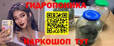 ешки Дубна