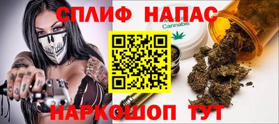 ешки Дубна