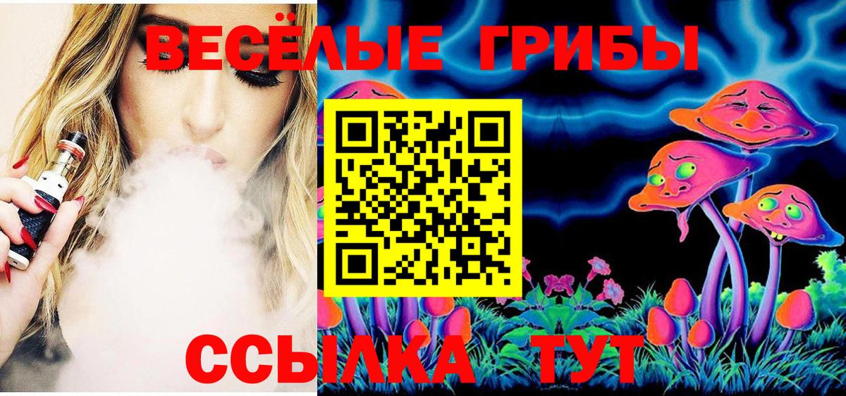 Псилоцибиновые грибы мицелий Скопин